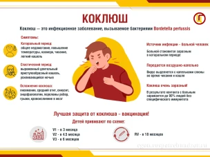 Коклюш недооцененная угроза